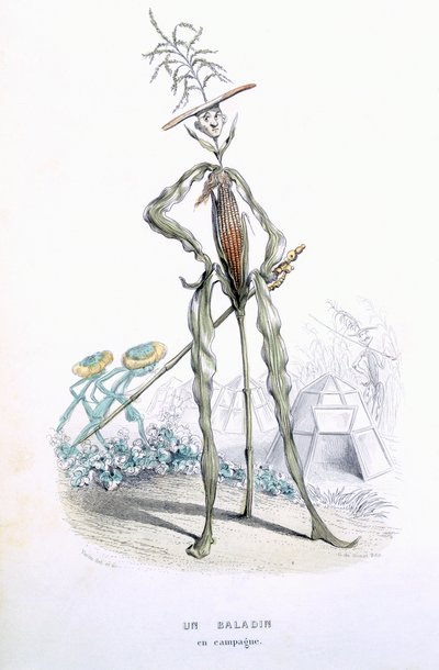 Eugene Nus ve Meray Antoine, 1851 (renkli gravür) tarafından 'L'Empire des Legumes, Memoires de Curcurbitus' adlı bir Ülke Arabası by Amedee Varin