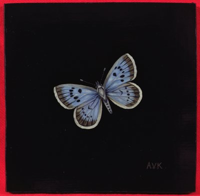 Büyük mavi kelebek, 2000 by Amelia Kleiser