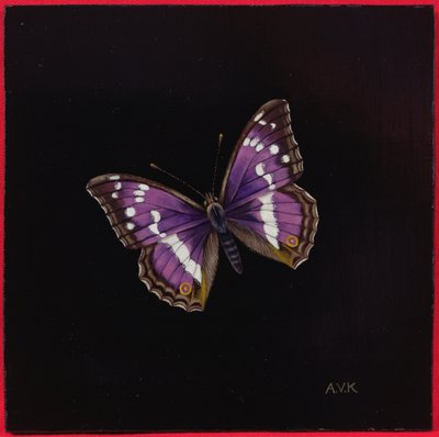 Mor imparator kelebek, 2000 by Amelia Kleiser