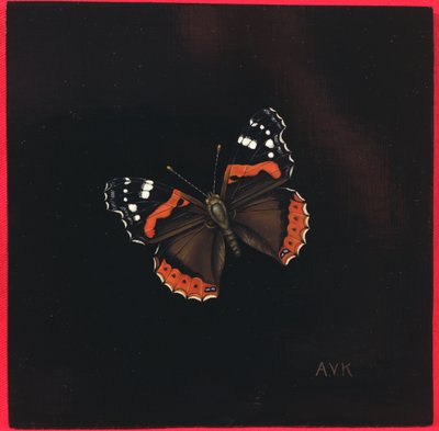 Kızıl Amiral kelebek, 2001 by Amelia Kleiser
