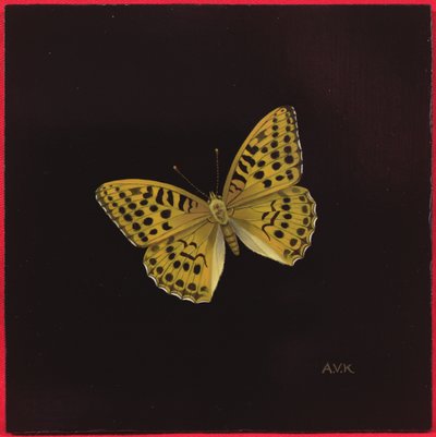 Gümüş yıkanmış fritiller kelebek, 2000 by Amelia Kleiser