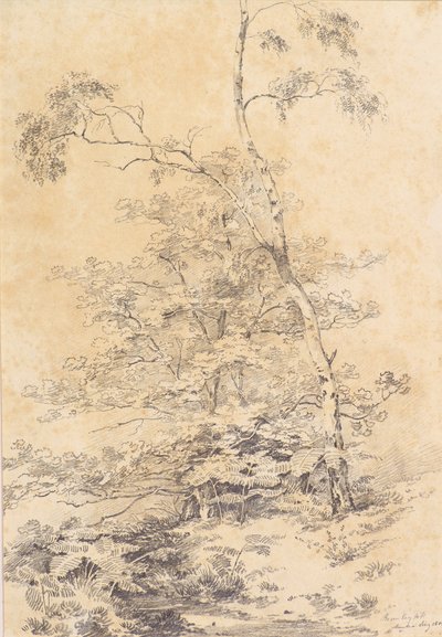 Bromley Tepesi by Amelia Long