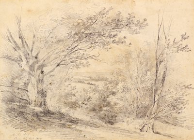 Bromley Tepesi by Amelia Long