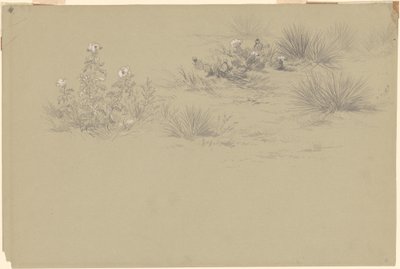 Çiçekli Çalı ve Çöl Bitkileri by American 19th Century after John Frederick Kensett