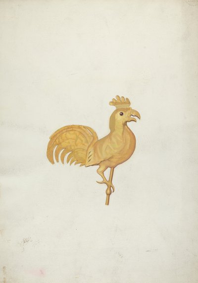 Horoz Rüzgar Gülü by American 20th Century