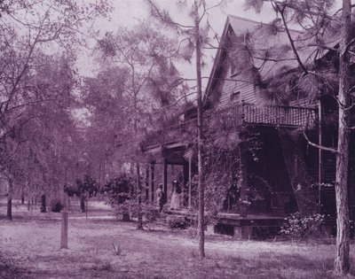 Florida, Southern Pines gölgesinde bir ev (s/b fotoğraf) by American Photographer (after)