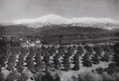 California: Redlands, Smiley Heights
