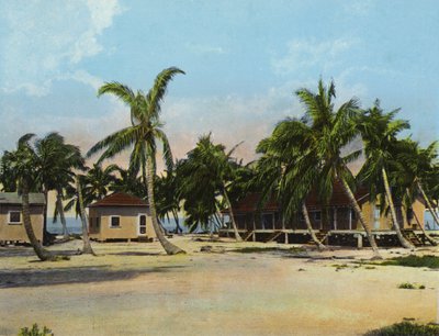Long Key Balıkçılık Kampındaki Kulübeler (fotoğraf) by American Photographer (after)