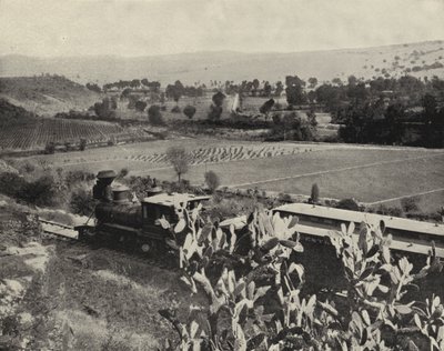 Tula yakınlarında, Meksika (s/b fotoğraf) by American Photographer (after)