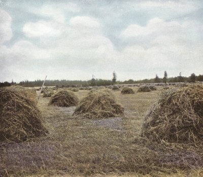 Oregon: Yonca (fotoğraf) by American Photographer (after)