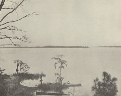 Pamlico Nehri, Kuzey Karolina (s/b fotoğraf) by American Photographer (after)