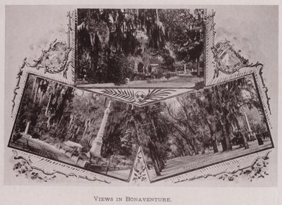 Bonaventure