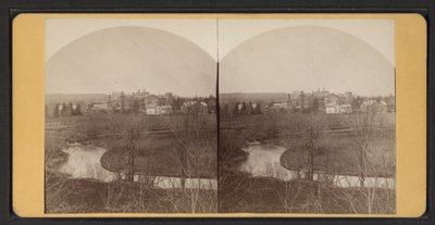 Ev binalarının kuşbakışı görünümü, 1870 dolayları (s/b fotoğraf) by American Photographer