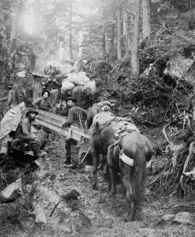 Klondike Gold Rush (1897-98) sırasında Chilkoot Geçidi yolunda Dyea Patikasında Tırmanma (s/b fotoğraf) by American Photographer