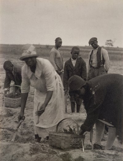 Saha Çalışması by American Photographer