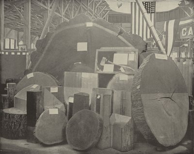 Gladstone Baltası by American Photographer