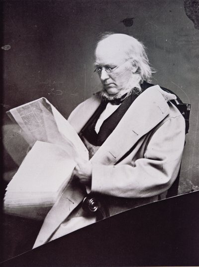 Horace Greeley (1811-72) (s/b fotoğraf) by American Photographer