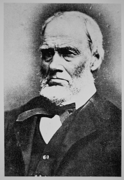 James W. Marshall (1810-85) (s/b fotoğraf) by American Photographer