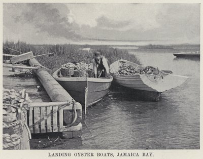 Landing Oyster Boats, Jamaika Körfezi (s/b fotoğraf) by American Photographer