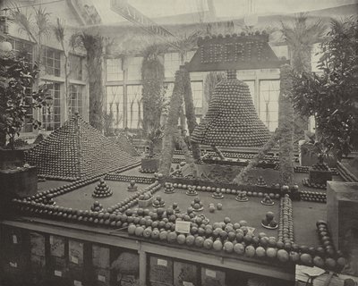 Portakallarda Özgürlük Çanı by American Photographer