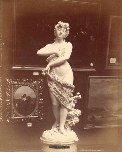 Love"s Net, İtalyan Sergisi, Centennial Uluslararası Sergi, 1876 by American Photographer