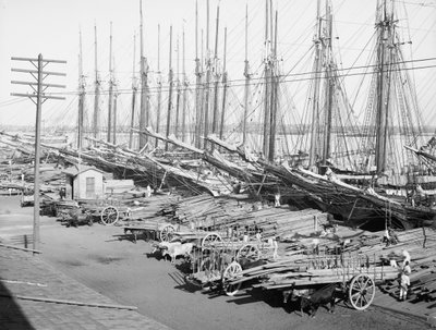 Muelle Tallapiedras, Havana, c.1904 (s/b fotoğraf) by American Photographer