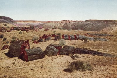 Taşlaşmış Orman, Arizona (renkli fotoğraf) by American Photographer