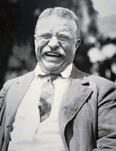 Başkan Theodore Roosevelt, 1917 dolayları (s/b fotoğraf) by American Photographer