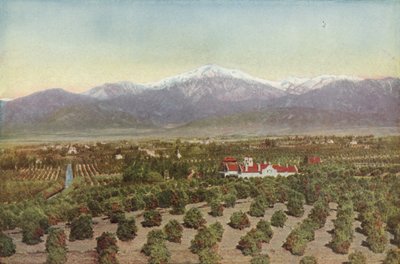 Redlands, California, Smiley Heights