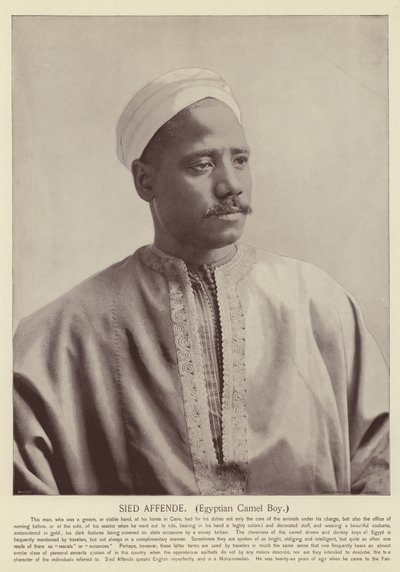 Sied Affende, Mısırlı Deve Çocuk by American Photographer