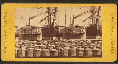 "Planter" vapurunun stereoskopik görünümü, Charleston, S.C. by American Photographer