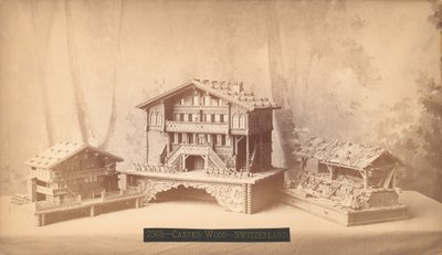 İsviçre kulübeleri, oymalı modeller, Philadelphia Centennial Uluslararası Sergisi, 1876 (gümüş albümen baskı) by American Photographer
