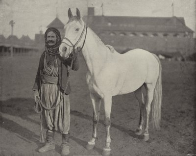 Bedeviler Ödül Atı by American Photographer