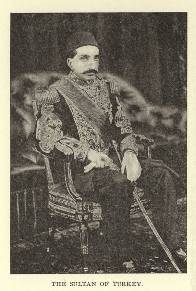 Türkiye Sultanı by American Photographer
