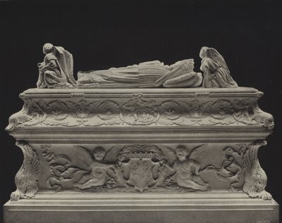 Charles VIII Çocuklarının Mezarı by American Photographer