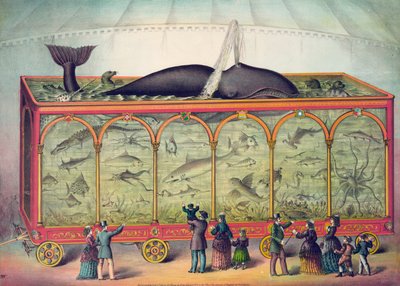  by American School