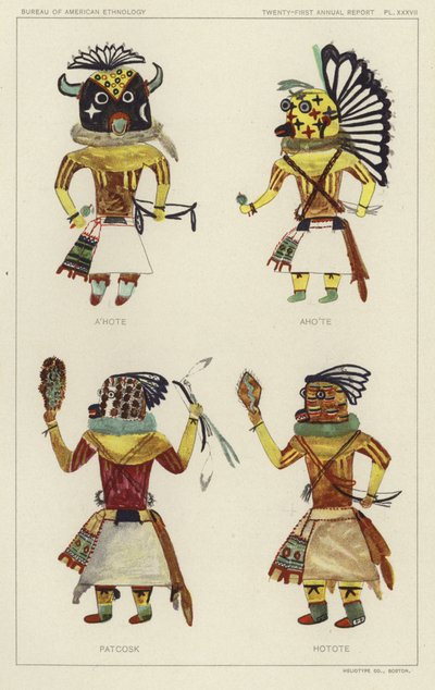 by American School
