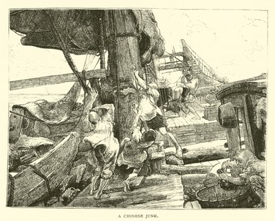 Çinli bir çöp by American School
