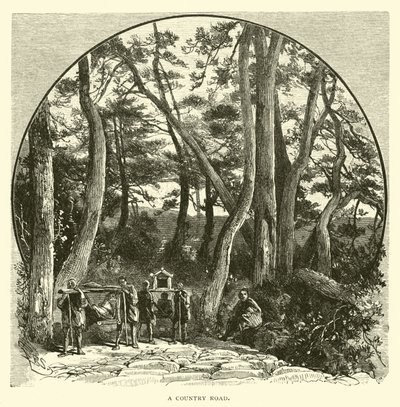 Köy yolu by American School