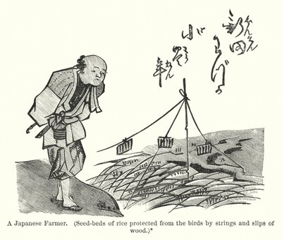 Bir Japon Çiftçi, Kuşlardan ipler ve tahta parçaları ile korunan pirinç tohum yatakları (gravür) by American School