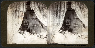 Yalnız, küçük bir kalp, 1901 (stereograf) by American School