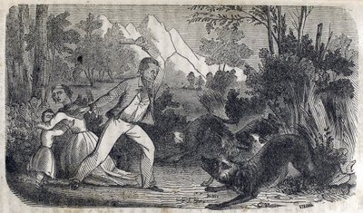 Bir kadın ve çocuğun önünde köpeklerle kavga eden bir adam by American School