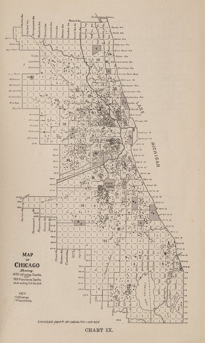 1918 sonbaharında Chicago şehrinde bir grip salgını hakkında bir rapor by American School