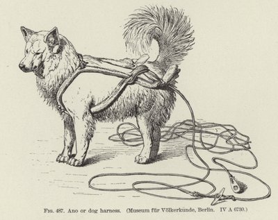 Ano veya köpek koşum takımı by American School