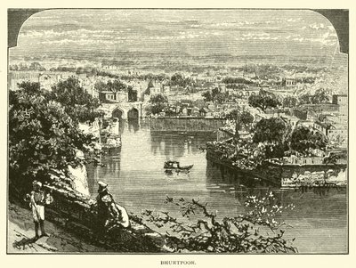 Bharatpur by American School