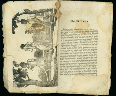 Black Hawk, Bayan Jane Lewis