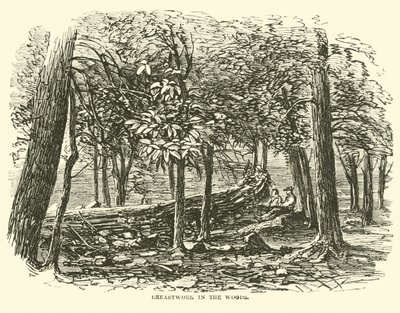 Ormanda göğüs kafesi, Temmuz 1863 by American School