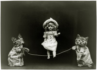 Kedi merakı, 1891 by American School