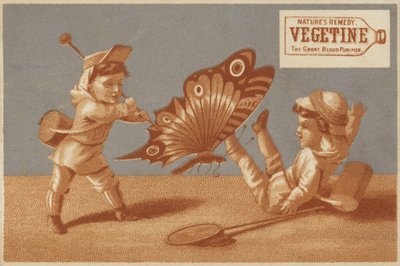 Dev Kelebekli Çocuklar by American School