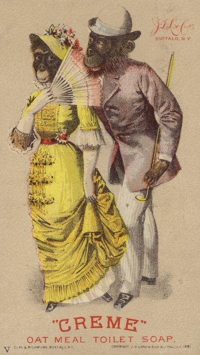 Giysili şempanzeler by American School